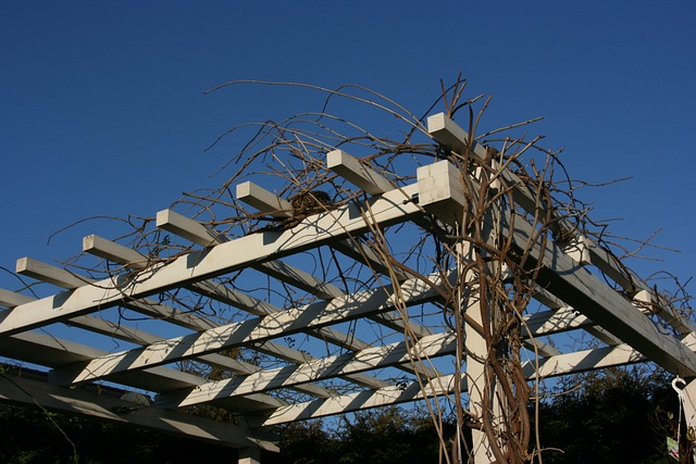 dřevěná pergola