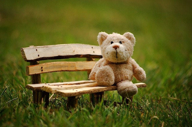 medvídek na lavičce